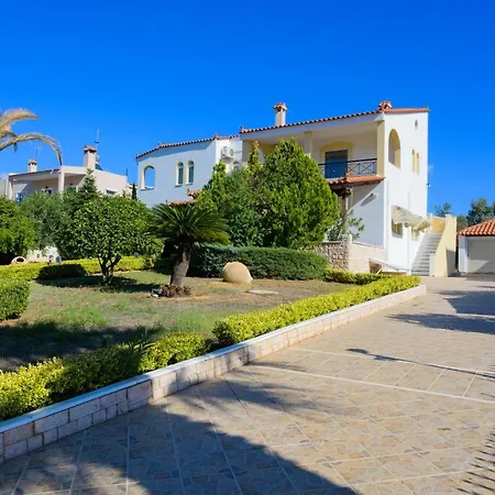 Green Paradise Palaia Fokaia Agios Georgios  Extérieur photo