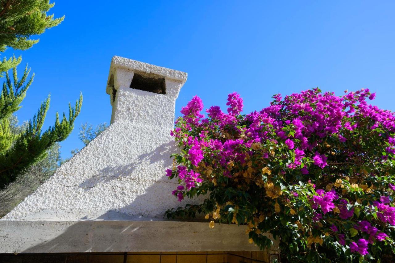 Paradise Palaia Fokaia * Agios Georgios (Attica)
