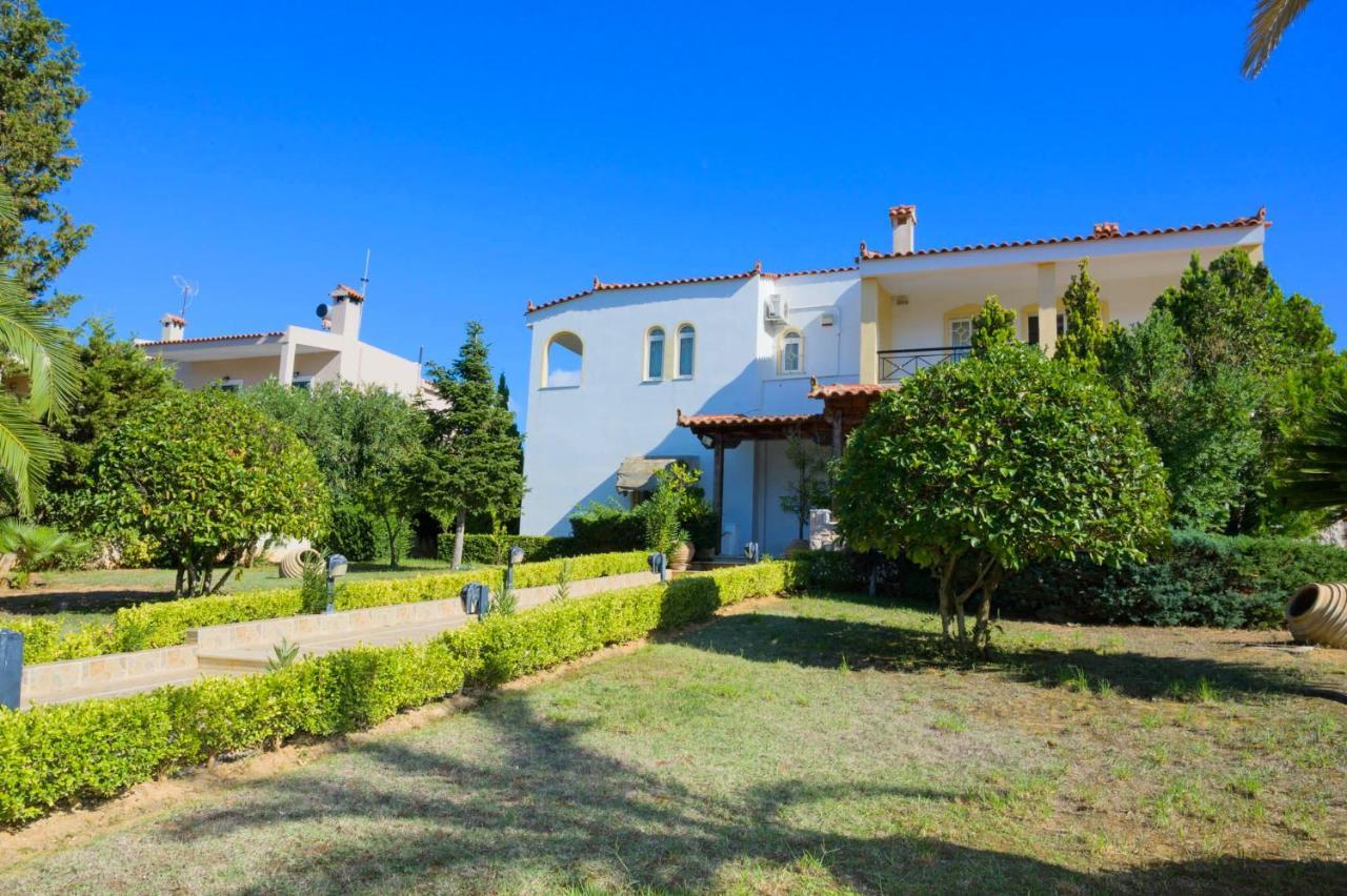 Apartment Paradise Palaia Fokaia *