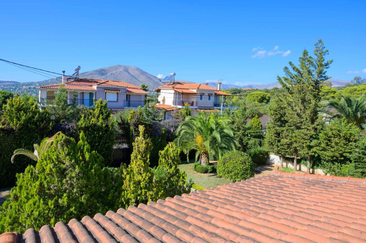 Apartment Paradise Palaia Fokaia Agios Georgios (Attica)
