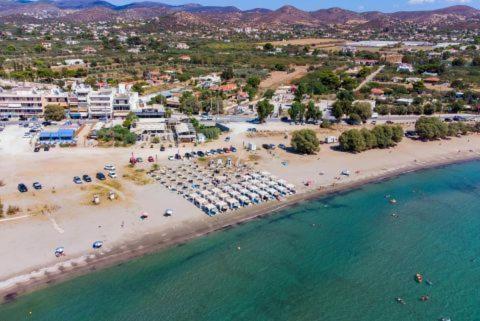Paradise Palaia Fokaia Apartment