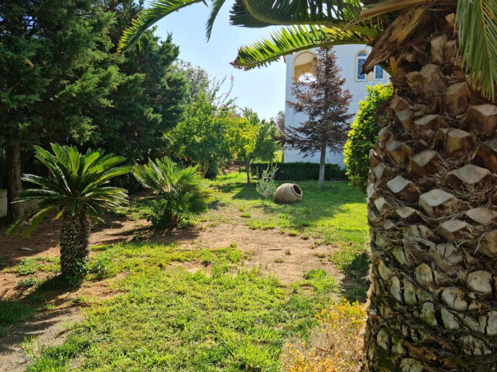 Paradise Palaia Fokaia * Agios Georgios (Attica)